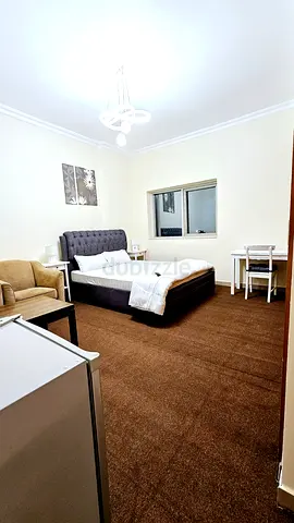 BRAND NEW FULLY FURNISHED MASTER ROOM WITH WASHROOM READY TO MOVE IN TECOM 5MIN TO DIC METRO...