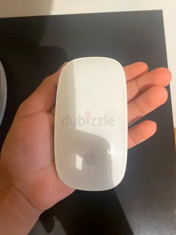 Apple Magic Mouse 2 used