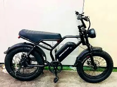 Wind Horse V8 Pro Electric Bike