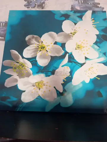 3 pics Wall paint sale urgent new muwailah commercial