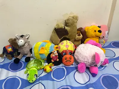 Collection of Cute Stuffed Toys