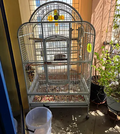 Large Bird Cage for Sale