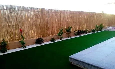 Bamboo fences
