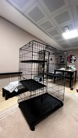 Spacious Pet Cage with Rolling Wheels