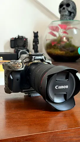 Canon r5c body or with canon 24-70 2.8 rf