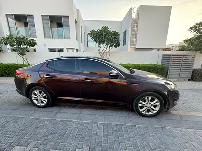 Lady Gently driven only for home-to-work -(well-care)