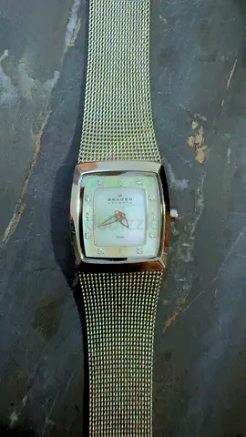 Sleek Skagen Womens Watch