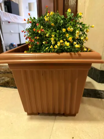 plant pot