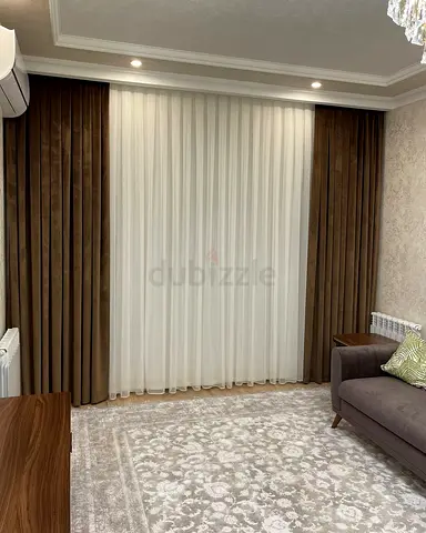 Elegant Modern Curtains and Stylish Area Rug