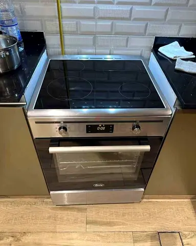 Stainless Steel Electric Oven with Induction Cooktop