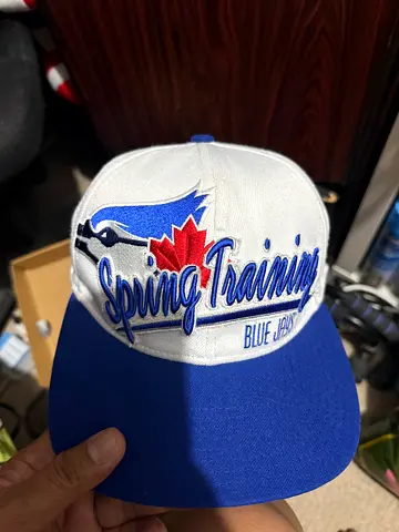 Vintage New Era cap Blue Jays