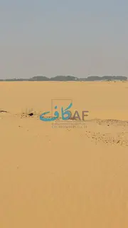 Commercial land for sale in Al-Dabdaba neighborhood, north