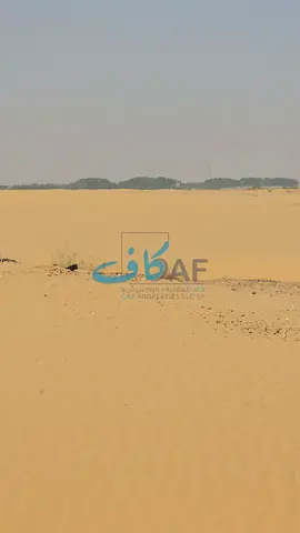 Commercial land for sale in Al-Dabdaba neighborhood, north