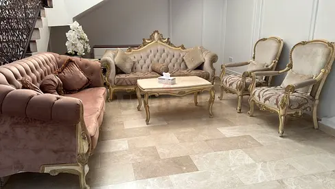 Elegant Living Room Sofa Set