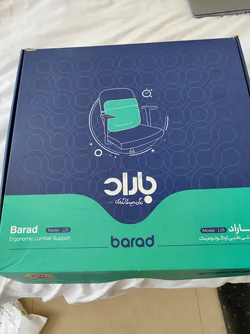 Barad Ergonomic Lumbar Support