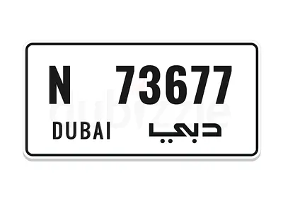 N 73677 Number Registration License Plate