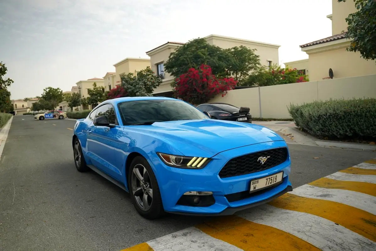 Ford Mustang 2017 — photo 1 of 10