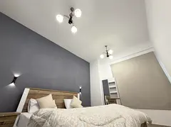 Luxury Executive Female working professional private Room Near DAFZA Metro /Furnished