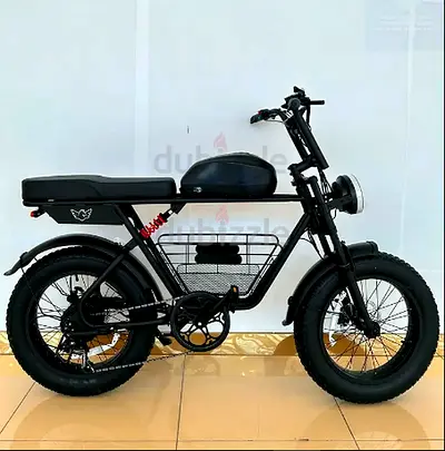 Wind Horse D5 Electric Bike