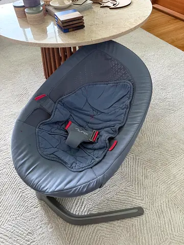 Nuna Baby Leaf Swing chair