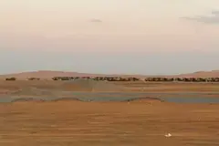 For rent: A small plot of land in Al Sajaa S.