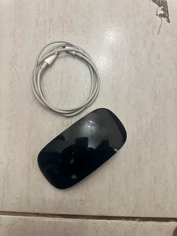 Apple Magic Mouse and Charging Cable