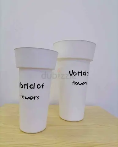 Flower Plant Vase X2 Price Is Not Negotiatable