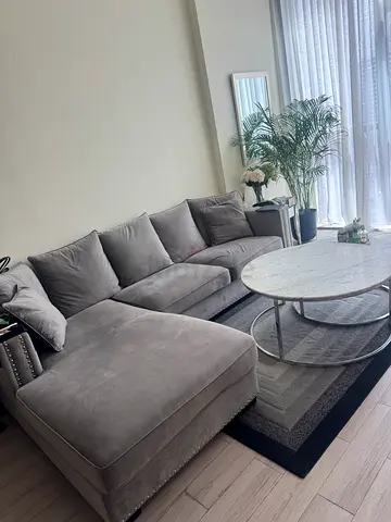 Living room furniture set( sofa, table carpet)