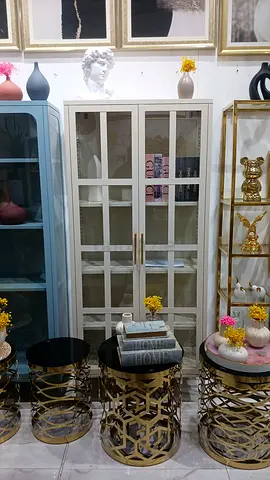 Elegant Glass-Front Cabinet for Stylish Storage