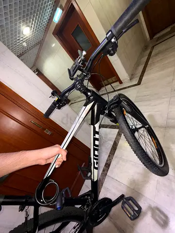 Mountain bike