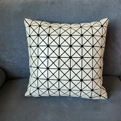 Modern Cushion Price Is Not Negotiable