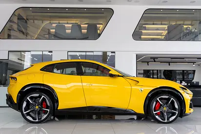 2025 Ferrari PUROSANGUE 缩略图 7