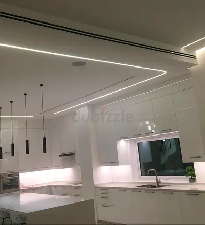 Professional Maintenance: Electrical, Painting, Gypsum  Demolition