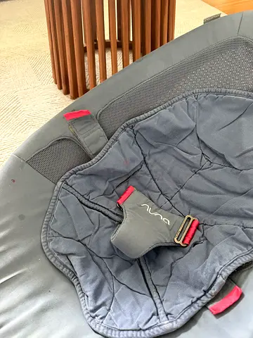 Nuna Baby Leaf Swing chair