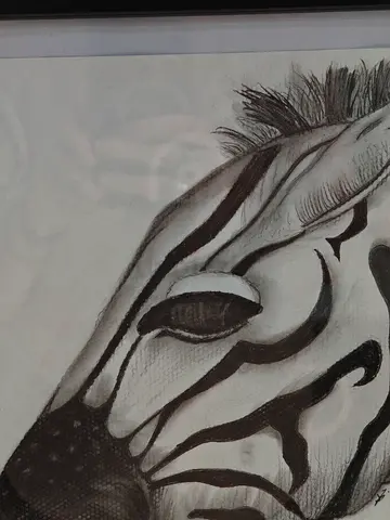 Charcoal Zebra Drawing in frame