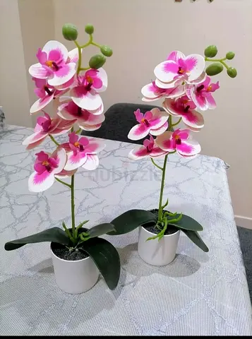 Flower Vase 2 Pieces