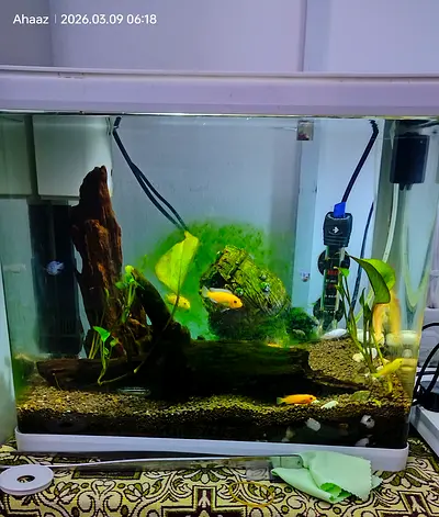 Aquarium - 40 cm(L)x26 cm(D)x 37. 5 cm (H)