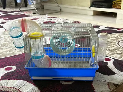 Hamster cage
