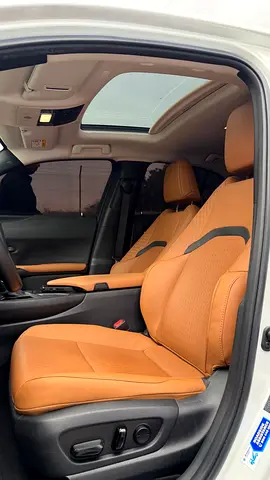 2022 Lexus UX-SERIES 照片 11