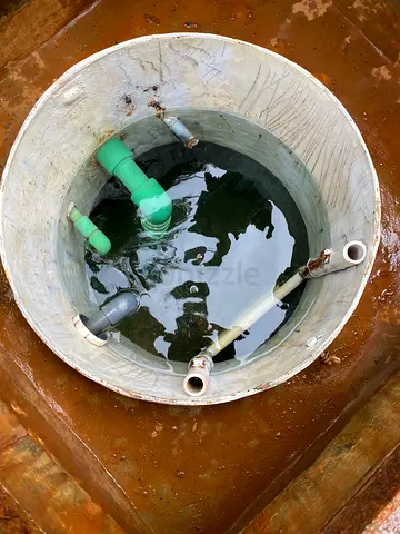 الرئيسية