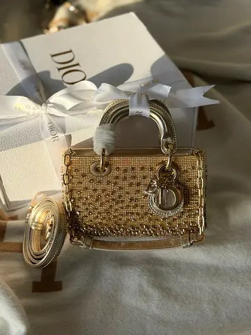 Dior Bag For Women