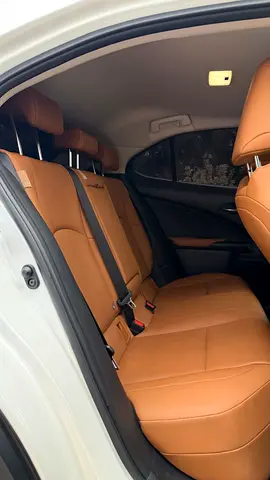 2022 Lexus UX-SERIES 照片 14