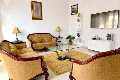Sofa set furnitures