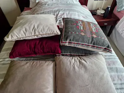 الفجيره الفصيل