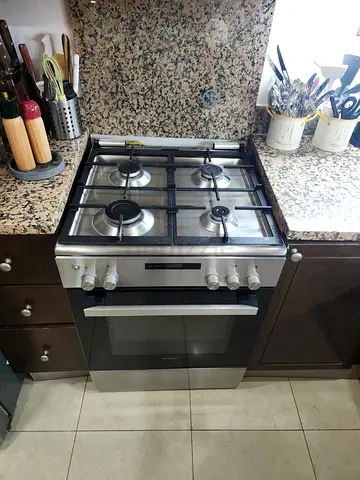 Stainless Steel Gas Cooker with Oven
