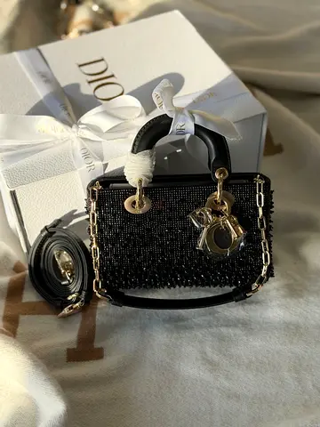 Dior Bag For Women