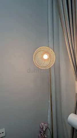 Elegant Wall Light Fixture