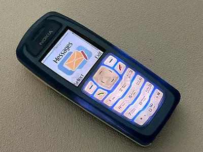 Nokia 3100