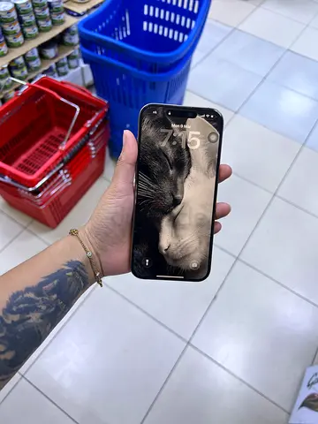 iPhone 16 pro max ( 1 tb ) desert titanium