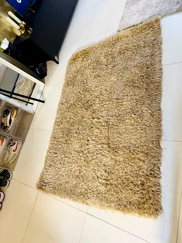 Cozy beige Shaggy carpet for Stylish Homes